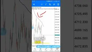 Boom and crash spike detector🤑