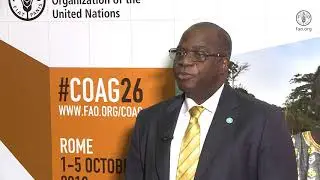 An overview of the FAO Committee on Agriculture