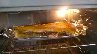 Filleted fish jumping in oven