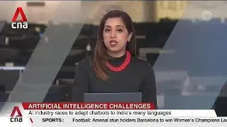 Multilingual India's race to build own Large Language Model easier said than done