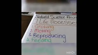 Natural science revision 7 life processes