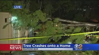 Tree Crashes Into Home In Diamond Bar
