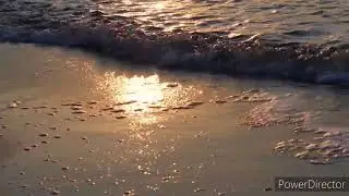 Yoga Calm Music For 2Hours||Relaxing Calm Music||meditation music||nsr relax music