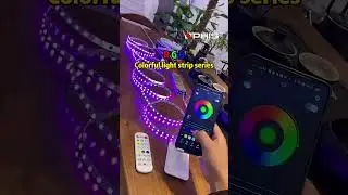 RGB Colorful LED strip#export  #led #factory #NPHIS #b2b #wholesale #striplight  #colorfullightstrip