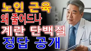 의사 설명! 노인이 매일 먹어야 할 계란 12배 단백질 음식 3가지로 근육감소 막는 법｜근감소증 - 근육은 나이를 먹어도 지킬 수 있습니다 단 , 방법을 알아야 합니다.