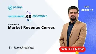 Market Revenue Curves (Part III) | Grade 12 | NEB