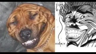 baki binge core
