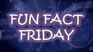 Fun Fact Friday #07 - December 22nd, 2017