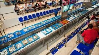 El segell &ldquo;Peix de llotja&rdquo; reconeix els restaurants ebrencs compromesos amb el producte local