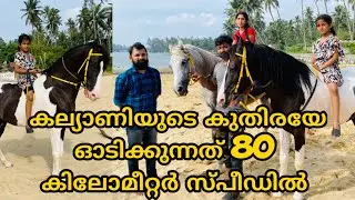 നാലാം ക്ലാസുകാരി കല്യാണിയുടെ കുതിര ഓടിക്കുന്നത് 80 കിലോമീറ്റർ സ്പീഡിൽ