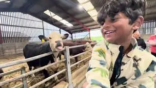 British farm life