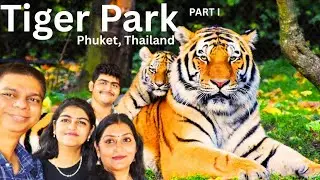 Tiger park Phuket Thailand #thailand #phuket #TigerParkPhuket #tigerpark #thailandtravel #Thailand
