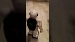 Maxibot 386