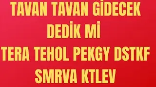 PEKGY TERA TEHOL DSTKF SMRVA KTLEV DETAYLI ANALİZİ