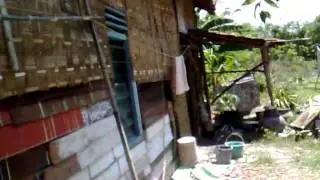 PUGAR RUMAH SUGENG (LAPSOS DAMPOAWANG).mp4