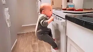 Funny Baby Videos That Will Make Your Day Better 😆