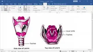 Sound | Tamil explanation NCERT Class 8 EVS Chapter 13 | CBSE Class 8 EVS Chapter 13
