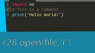 #28 PYTHON TUTORIAL - PYTHON THE OPEN FUNCTION READING A TEXT FILE