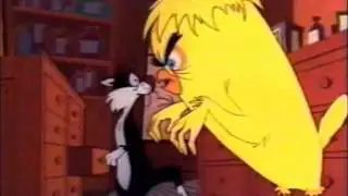 BAD OL' PUDDY TAT!