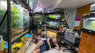 INSANE REPTILE ROOM TOUR APRIL 2020!! 50+ REPTILES!