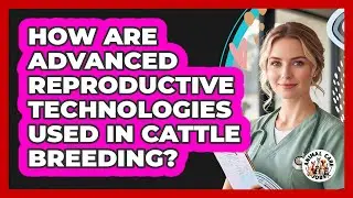 How Are Advanced Reproductive Technologies Used In Cattle Breeding? - Animal Care Jobs