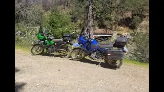 backwoods exploration trailer