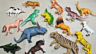 🐘 ASMR_Video * Wild Animals Review I No Talking *