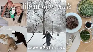 NYC Vlog | Winter Storm Prep ❄️ Cozy Snow Days, Korean Comfort Food, Moynat Unboxing & Catsitting!
