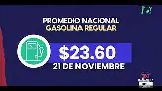 Avances del programa 