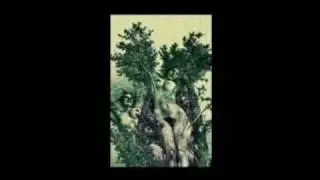 Aurum Nostrum - The Interpreter