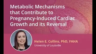 Metabolic Mechanisms that Contribute to Pregnancy-Induced Cardiac Growth and its Reversal