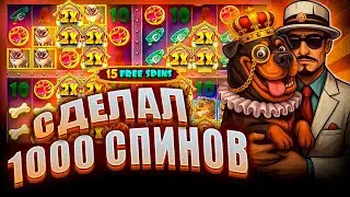 СХОДУ ПОШЁЛ ALL-IN И СДЕЛАЛ 1000 СПИНОВ В СЛОТЕ The Dog House Multihold / ЗАНОС / ЗАНОС НЕДЕЛИ!!!