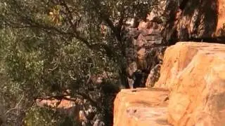 The Grotto Kununurra Wyndham WA