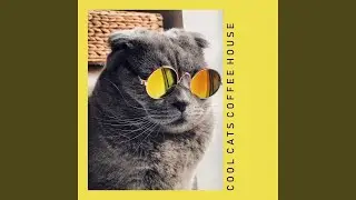 Smooth Jazz for Cool Cats