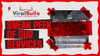 Here's Sneak Peek of ViralBulls Services | Viral Marketing Agency
