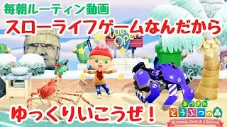 【あつ森】毎朝ルーティンの動画です。スローライフゲームをハイスピードでプレイしていませんか？【Switch2Edition】【ACNH】【あつまれどうぶつの森】