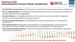 Prof. Javier Hernandez-Molina: Contourites depositional systems: a paradigm for deepwater...