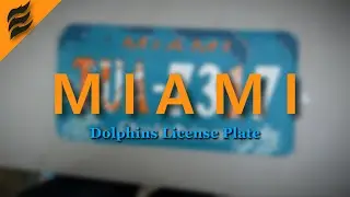 I Painted A Miami Dolphins License Plate.