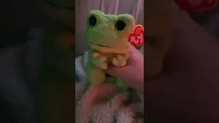 ty toy reviews beanie bellies frog snapper from 2023