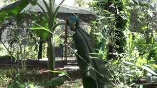 Zaksee Bird Sanctuary,5555