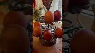 ФАКТЫ О МАРАНАХ | особенности яиц  #яйца #маран