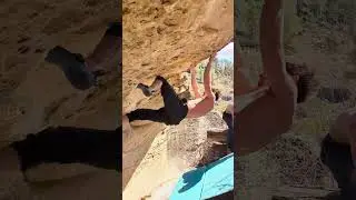 Los Tres Pinos, 8a // Alca&ntilde;iz, El Anfibio