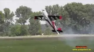 3D Aerobatics Extreme Flight - Extra 300 - MFC Herzberg - 19.07.2014 - Flug II
