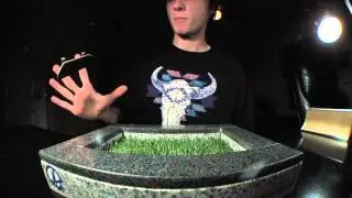 Yellowood Fingerboards Welcomes Zach Ballen