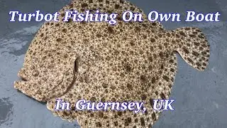 Turbot Fishing From Boat In UK Waters