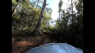 Wombat Track - Wombat State Forest