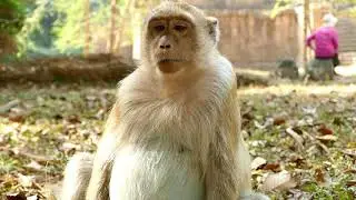 Update Young Mom Briget How Is Going Now? Briget Hungry Asking Some Fruit Just Has Only Mango For U.