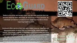 Rodent Clean Up by EcoGuard Pest Management