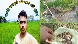 Village Hacks For Catching Fish🔥|| machli pakadne ka asan tarik | catch tips