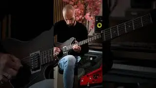 While She Sleeps - To The flowers (guitar cover)